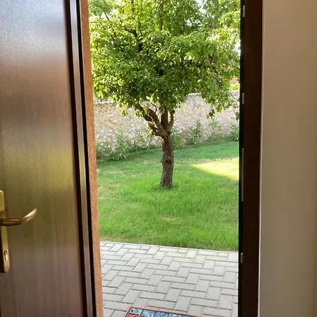 Apartament Elixir *